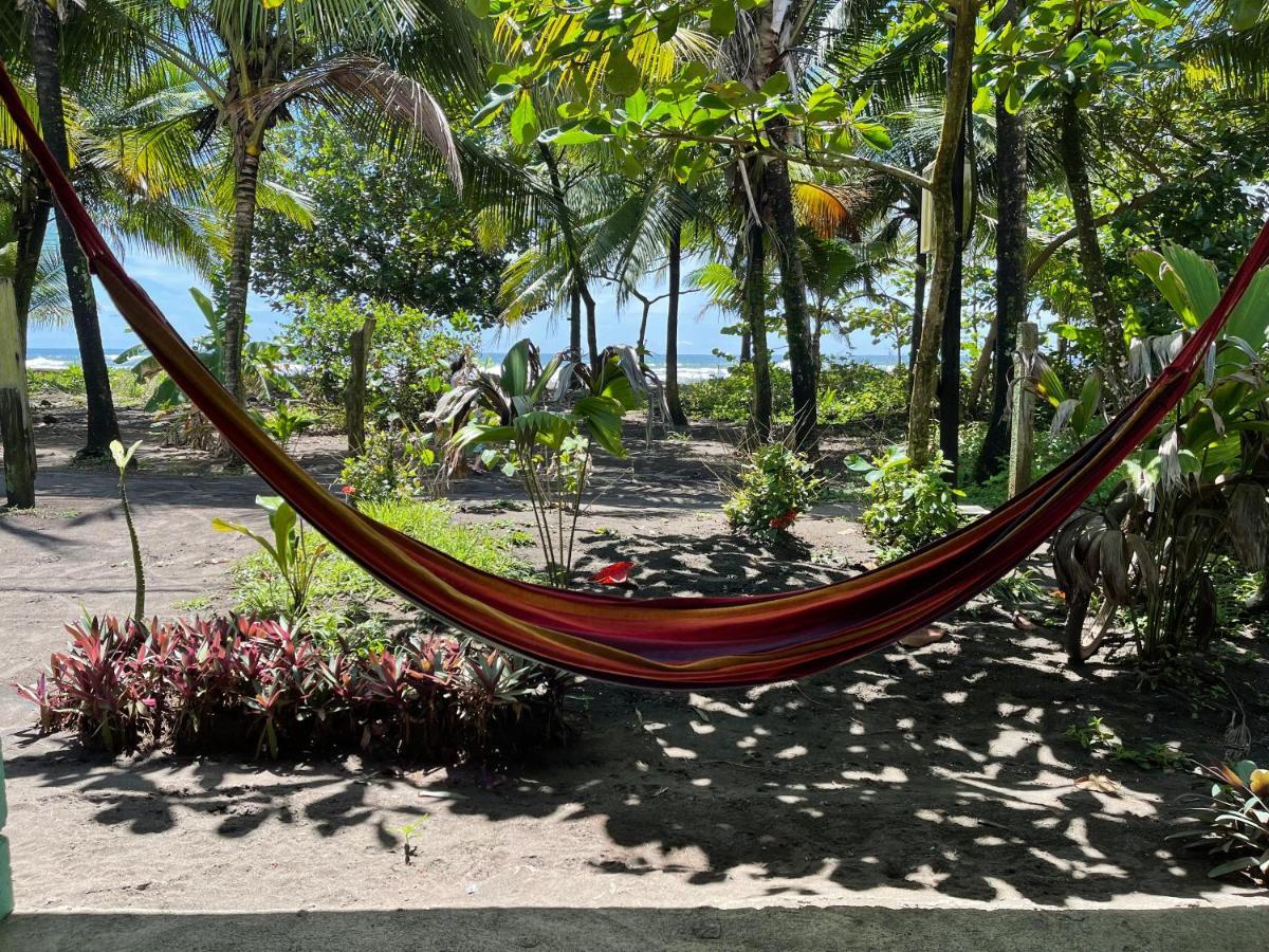 Hotel Casa Turtle Bogue Tortuguero Zewnętrze zdjęcie