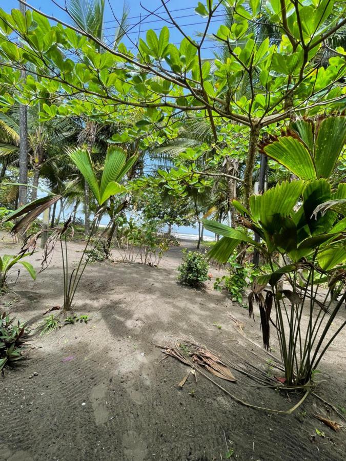 Hotel Casa Turtle Bogue Tortuguero Zewnętrze zdjęcie