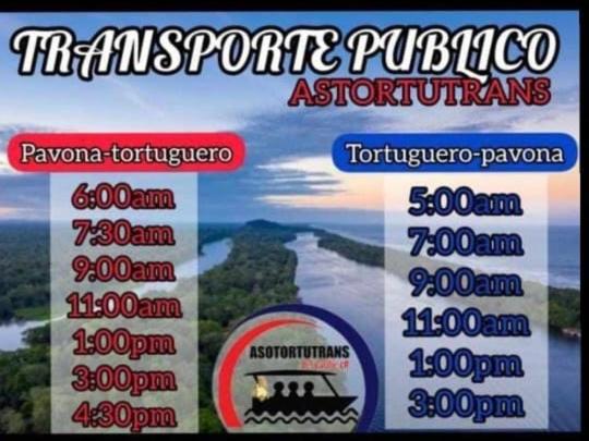 Hotel Casa Turtle Bogue Tortuguero Zewnętrze zdjęcie
