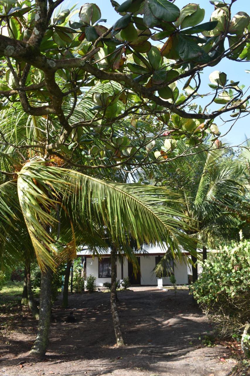 Hotel Casa Turtle Bogue Tortuguero Zewnętrze zdjęcie