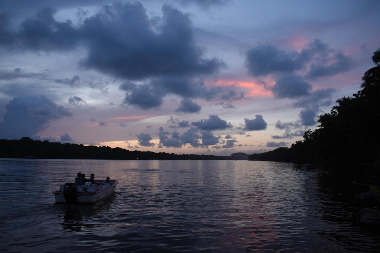 Hotel Casa Turtle Bogue Tortuguero Zewnętrze zdjęcie