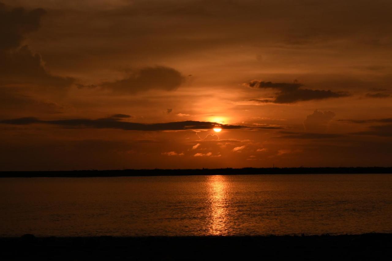 Hotel Casa Turtle Bogue Tortuguero Zewnętrze zdjęcie