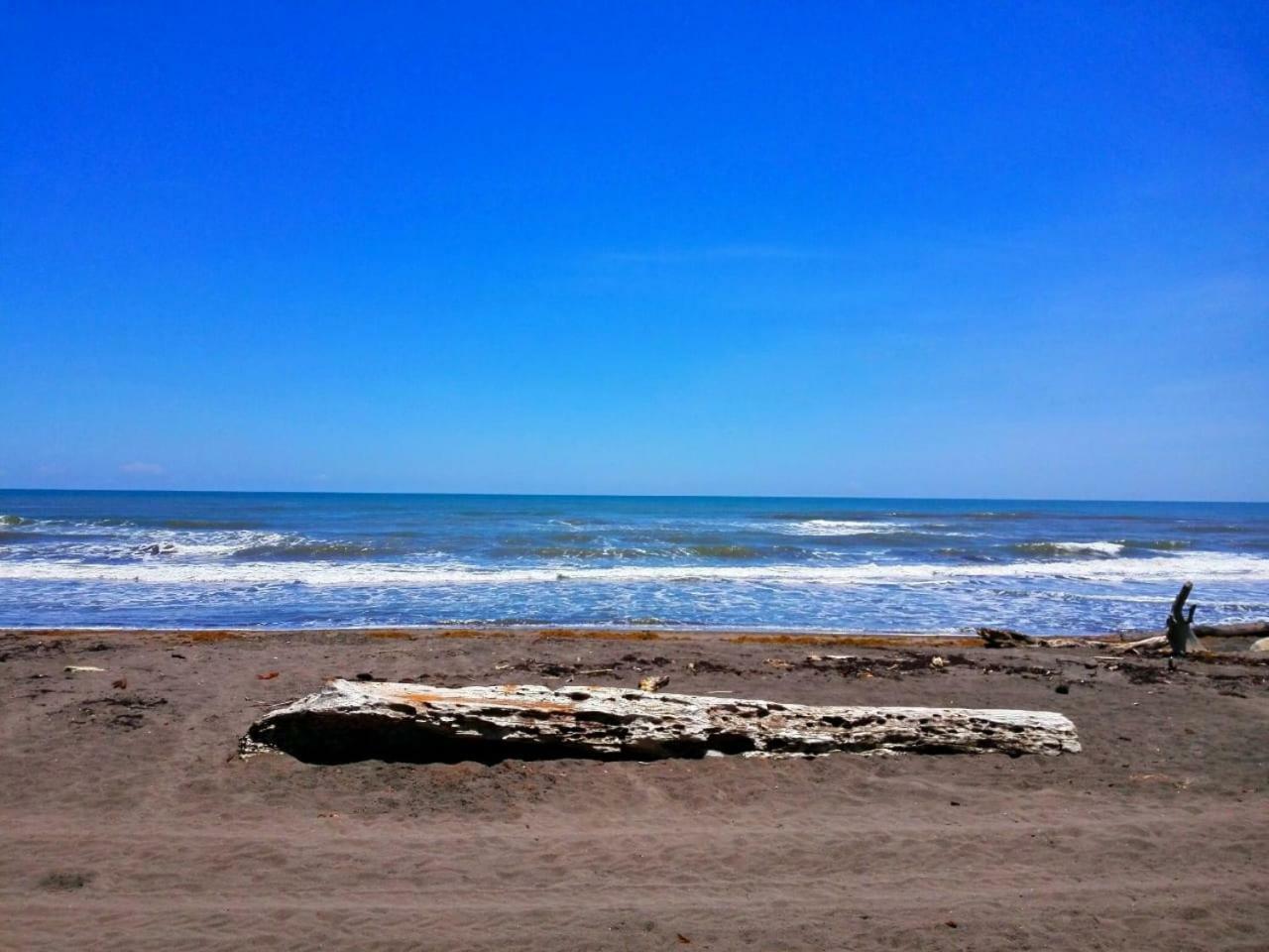 Hotel Casa Turtle Bogue Tortuguero Zewnętrze zdjęcie