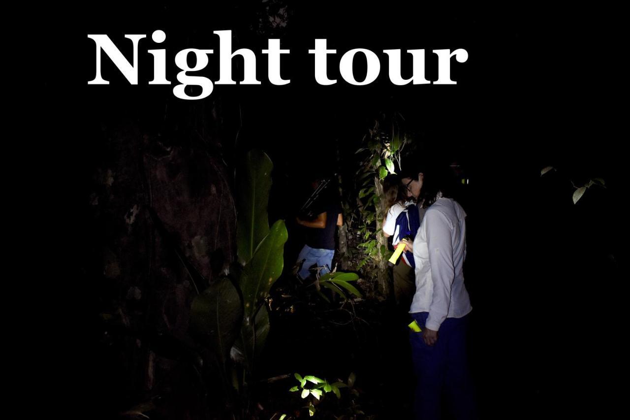Hotel Casa Turtle Bogue Tortuguero Zewnętrze zdjęcie